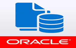 Oracle数据库管理工具有哪些?-北京乐动网页版登录入口公司