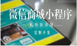 商城小程序开发、北京小程序开发哪家好？-北京乐动网页版登录入口