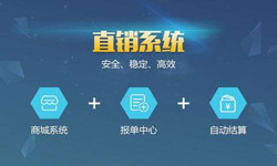 手机直销系统乐动网页版登录入口价格-北京软件外包公司