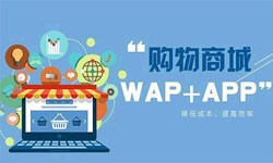 手机商城app乐动网页版登录入口流程-北京乐动网页版登录入口外包公司