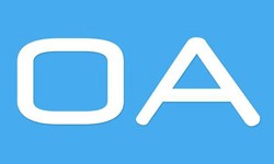 软件外包公司、OA系统开发功能有哪些？费用是多少-乐动网页版登录入口公司[北京乐动网页版登录入口]