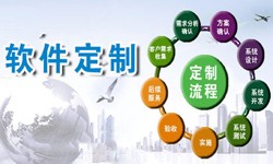 定制乐动网页版登录入口现在来说还有优势吗？北京软件外包