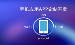 APP开发市场上常见问题分析-北京乐动网页版登录入口公司