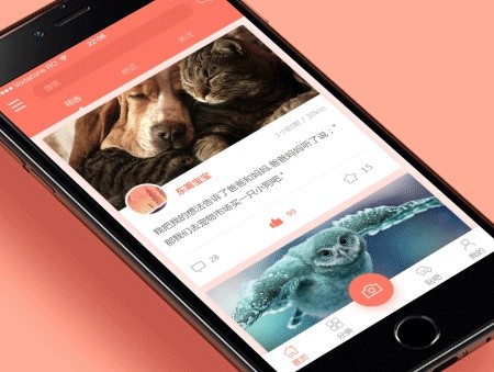 宠物医院App开发的价值和相关功能-北京乐动网页版登录入口
